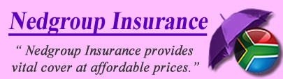 Logo of Nedgroup Insurance South Africa