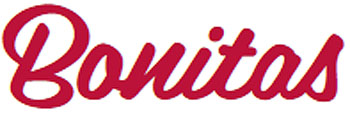 Bonitas Medical Aid logo